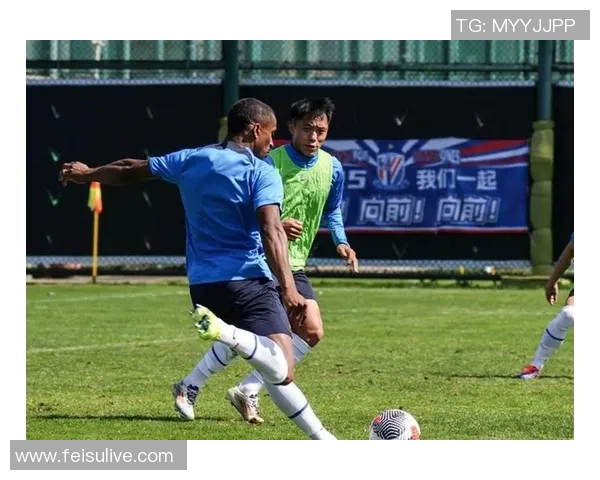 2010年申花与哄队激战回顾:一场难忘的足球盛宴与激情对决 2010年申花与哄队激战回顾:一场难忘的足球盛宴与激情对决