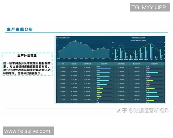 数据分析探讨V5灵活性表现及其对业务决策的影响分析